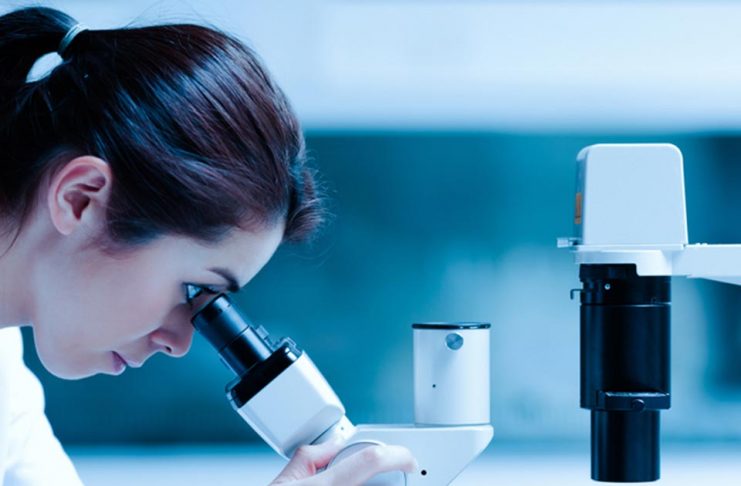 Estudios en Laboratorios clínicos | Análisis bioquímico Farmacias y laboratorios | laboratorios clínicos | análisis